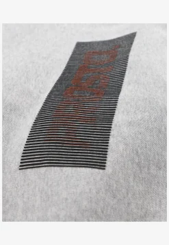 Crewneck Cameleo Gray