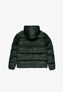 Winter Adament Dark Green