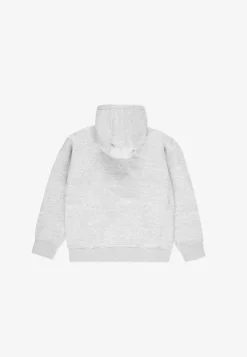 Zip Hoodie Baza Gray